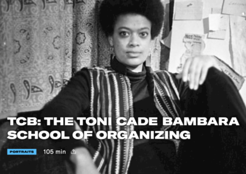 The Toni Cade Bambara School of Organizing